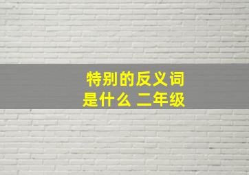 特别的反义词是什么 二年级